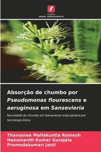 bokomslag Absoro de chumbo por Pseudomonas flourescens e aeruginosa em Sansevieria