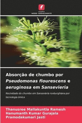 Absoro de chumbo por Pseudomonas flourescens e aeruginosa em Sansevieria 1