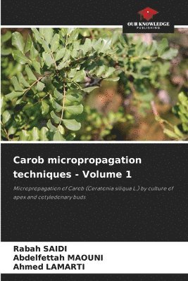 Carob micropropagation techniques - Volume 1 1
