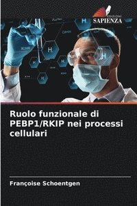 bokomslag Ruolo funzionale di PEBP1/RKIP nei processi cellulari