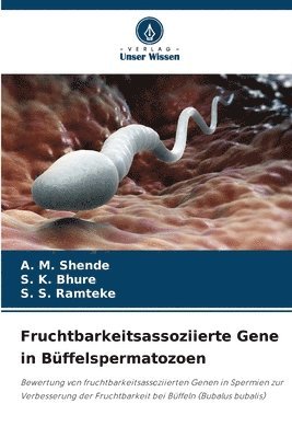 Fruchtbarkeitsassoziierte Gene in Bffelspermatozoen 1