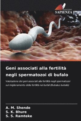 Geni associati alla fertilit negli spermatozoi di bufalo 1