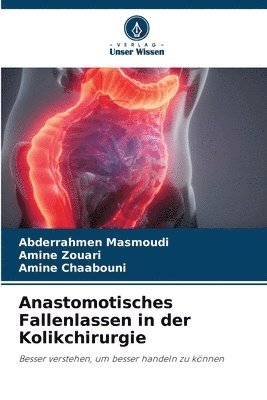 bokomslag Anastomotisches Fallenlassen in der Kolikchirurgie