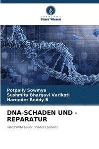 bokomslag Dna-Schaden Und -Reparatur