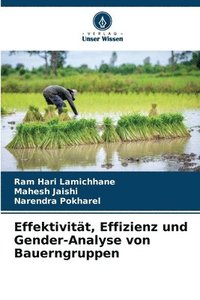 bokomslag Effektivitt, Effizienz und Gender-Analyse von Bauerngruppen