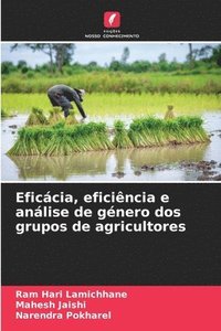 bokomslag Eficcia, eficincia e anlise de gnero dos grupos de agricultores