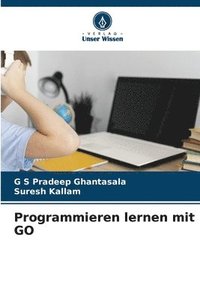 bokomslag Programmieren lernen mit GO