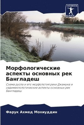 bokomslag &#1052;&#1086;&#1088;&#1092;&#1086;&#1083;&#1086;&#1075;&#1080;&#1095;&#1077;&#1089;&#1082;&#1080;&#1077; &#1072;&#1089;&#1087;&#1077;&#1082;&#1090;&#1099;