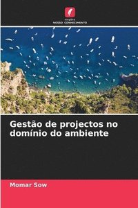 bokomslag Gesto de projectos no domnio do ambiente