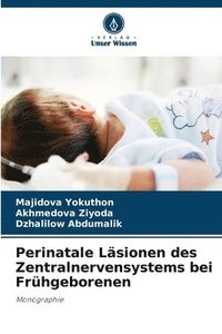 bokomslag Perinatale Lsionen des Zentralnervensystems bei Frhgeborenen
