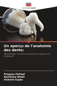 bokomslag Un aperu de l'anatomie des dents
