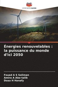 bokomslag Énergies renouvelables : la puissance du monde d'ici 2050