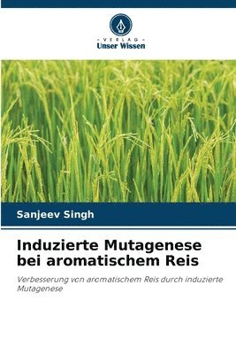 Induzierte Mutagenese bei aromatischem Reis 1