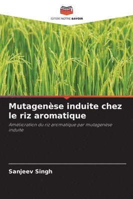 bokomslag Mutagense induite chez le riz aromatique