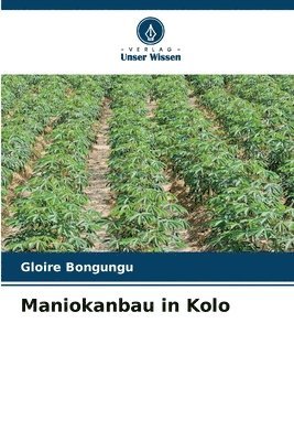 Maniokanbau in Kolo 1