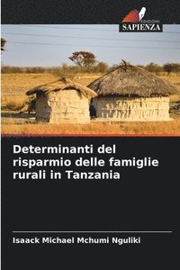 bokomslag Determinanti del risparmio delle famiglie rurali in Tanzania