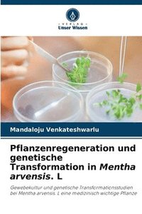 bokomslag Pflanzenregeneration und genetische Transformation in Mentha arvensis. L