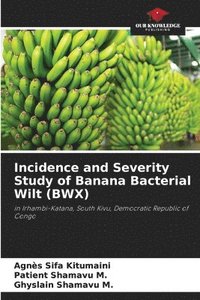 bokomslag Incidence and Severity Study of Banana Bacterial Wilt (BWX)