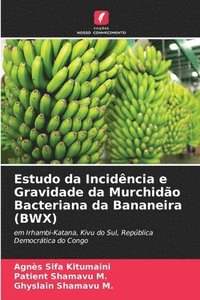 bokomslag Estudo da Incidncia e Gravidade da Murchido Bacteriana da Bananeira (BWX)