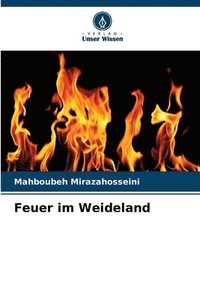 bokomslag Feuer im Weideland