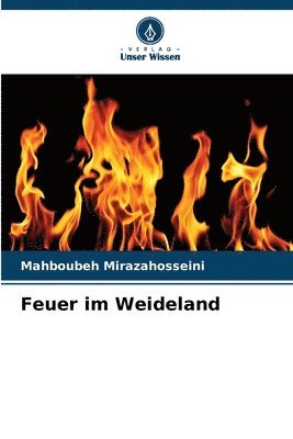 Feuer im Weideland 1