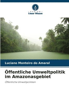 ffentliche Umweltpolitik im Amazonasgebiet 1