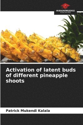 Activation of latent buds of different pineapple shoots 1