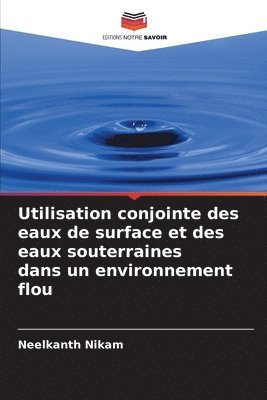 Utilisation conjointe des eaux de surface et des eaux souterraines dans un environnement flou 1