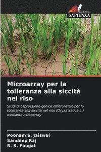 bokomslag Microarray per la tolleranza alla siccit nel riso