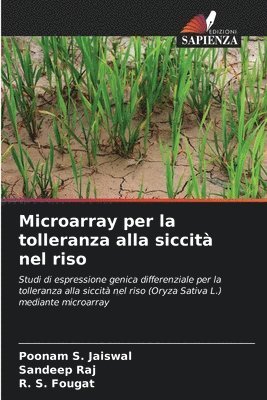 Microarray per la tolleranza alla siccit nel riso 1