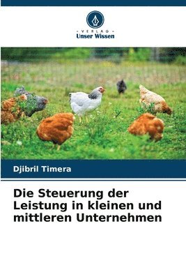 Die Steuerung der Leistung in kleinen und mittleren Unternehmen 1