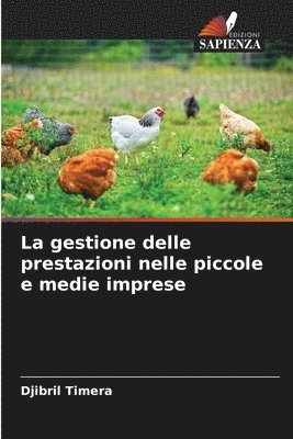 bokomslag La gestione delle prestazioni nelle piccole e medie imprese