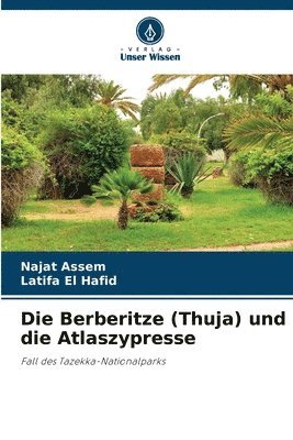 Die Berberitze (Thuja) und die Atlaszypresse 1