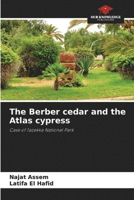 The Berber cedar and the Atlas cypress 1