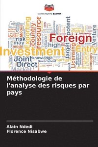 bokomslag Mthodologie de l'analyse des risques par pays