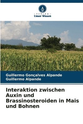Interaktion zwischen Auxin und Brassinosteroiden in Mais und Bohnen 1