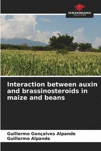 bokomslag Interaction between auxin and brassinosteroids in maize and beans