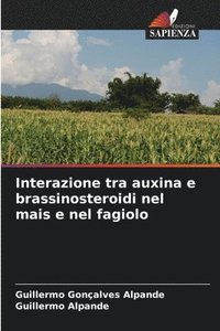 bokomslag Interazione tra auxina e brassinosteroidi nel mais e nel fagiolo