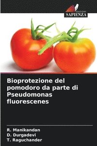 bokomslag Bioprotezione del pomodoro da parte di Pseudomonas fluorescenes