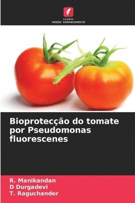Bioproteco do tomate por Pseudomonas fluorescenes 1