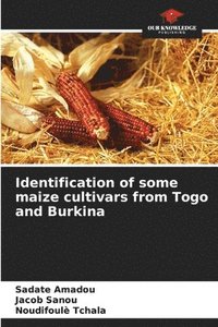 bokomslag Identification of some maize cultivars from Togo and Burkina
