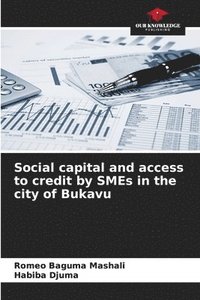 bokomslag Social capital and access to credit by SMEs in the city of Bukavu