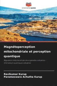 bokomslag Magntoperception mitochondriale et perception quantique