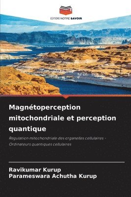 Magntoperception mitochondriale et perception quantique 1