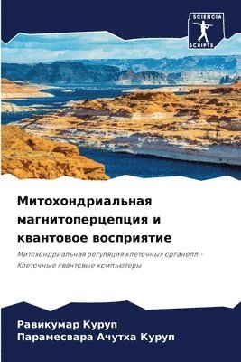 &#1052;&#1080;&#1090;&#1086;&#1093;&#1086;&#1085;&#1076;&#1088;&#1080;&#1072;&#1083;&#1100;&#1085;&#1072;&#1103; 1