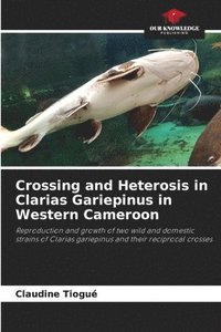 bokomslag Crossing and Heterosis in Clarias Gariepinus in Western Cameroon