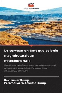 bokomslag Le cerveau en tant que colonie magntotactique mitochondriale