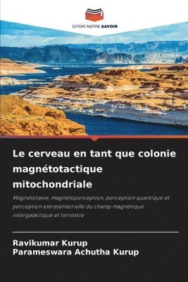 Le cerveau en tant que colonie magntotactique mitochondriale 1