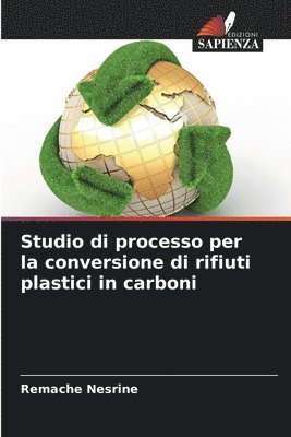 Studio di processo per la conversione di rifiuti plastici in carboni 1