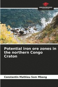 bokomslag Potential iron ore zones in the northern Congo Craton